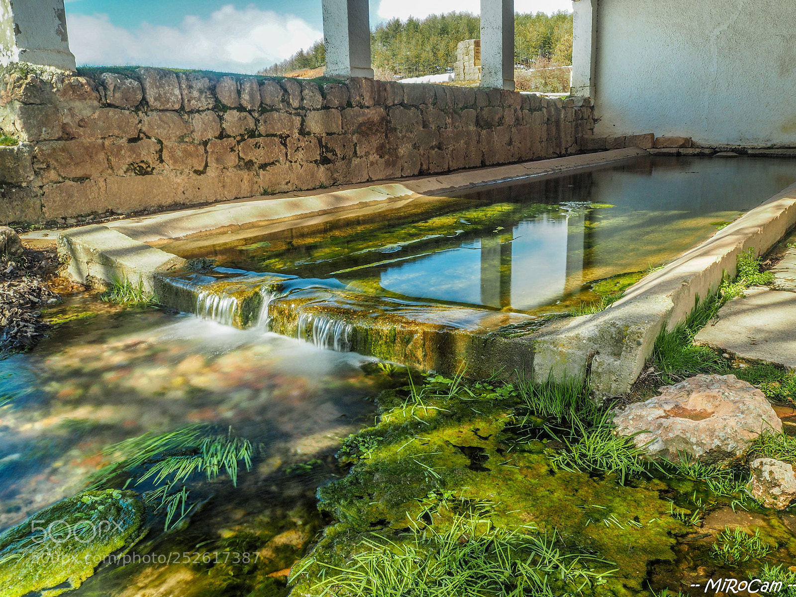 Olympus OM-D E-M10 II sample photo. Naturaleza y sus colores! photography