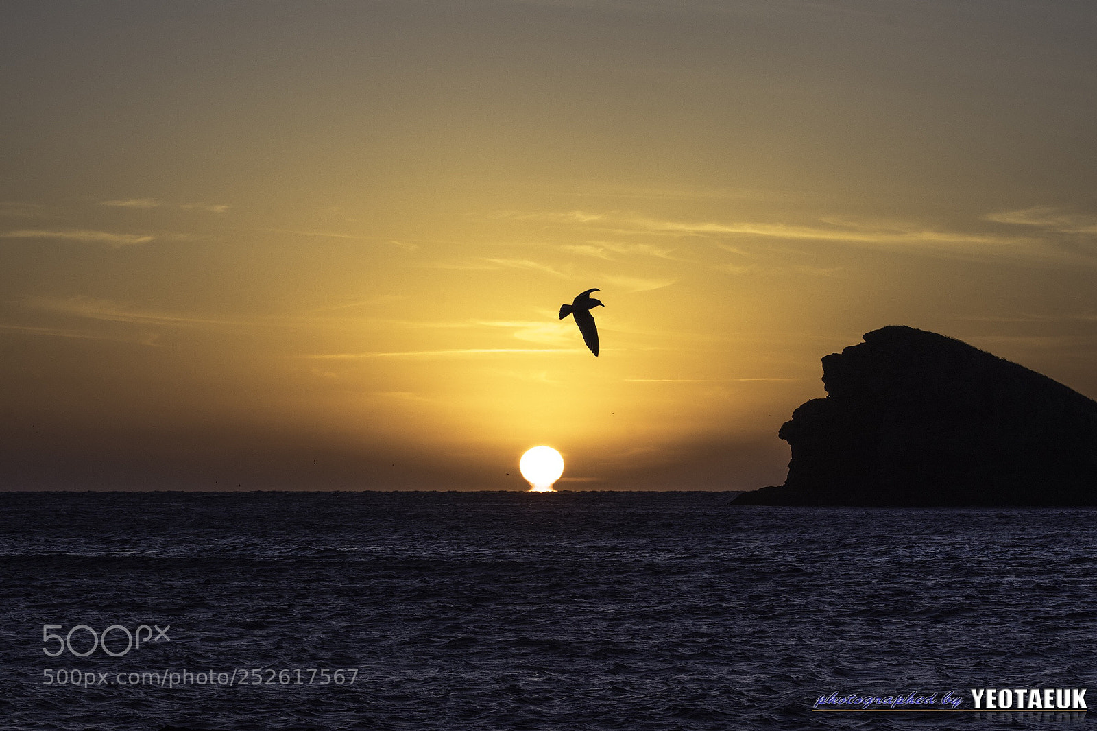 Canon EOS 80D sample photo. Sunset in jeju photography