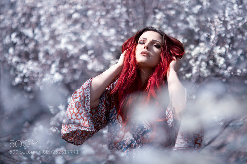 Canon EOS 5D Mark II sample photo. *** photography