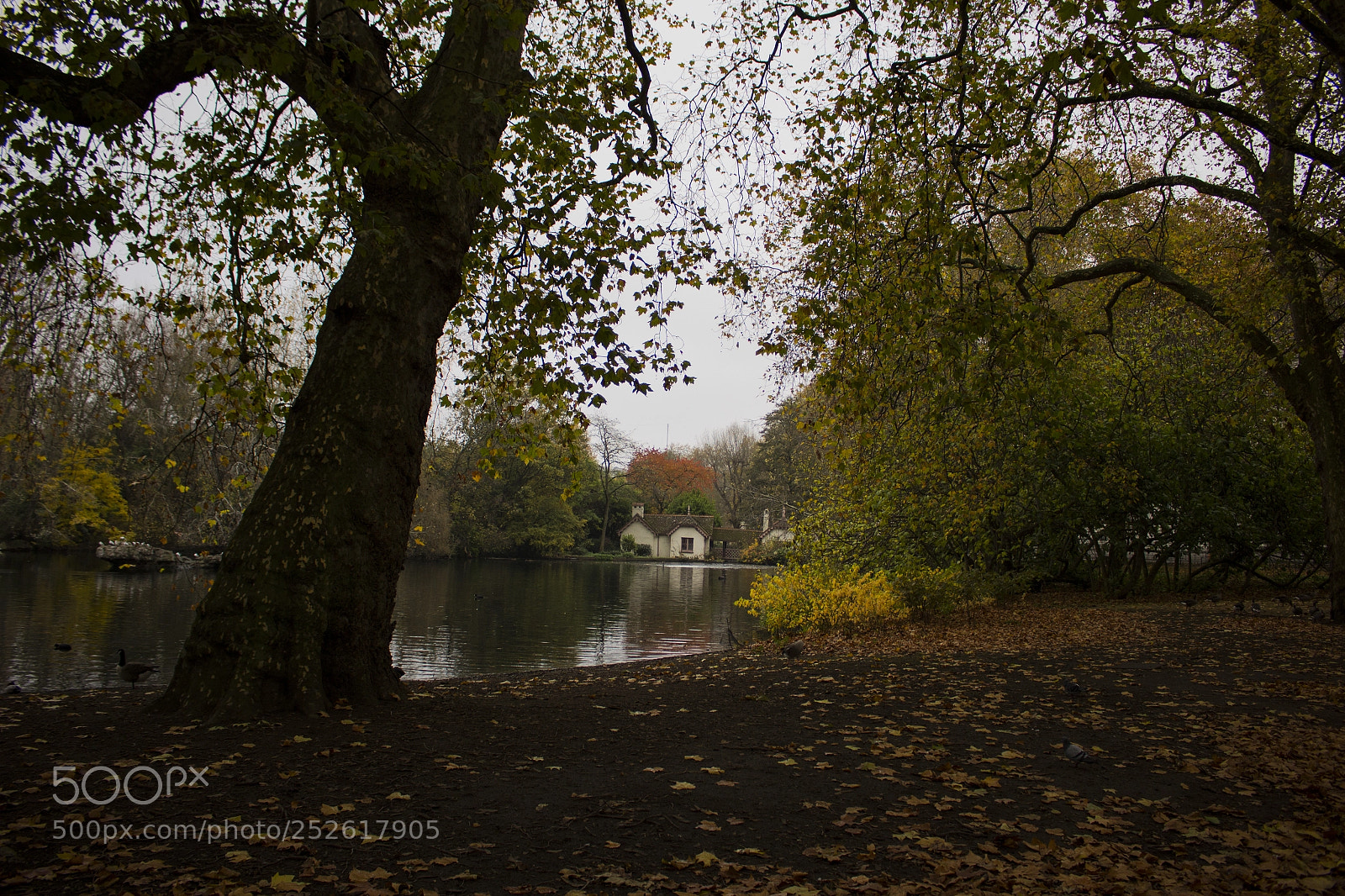 Canon EOS 100D (EOS Rebel SL1 / EOS Kiss X7) sample photo. St james's park, london photography