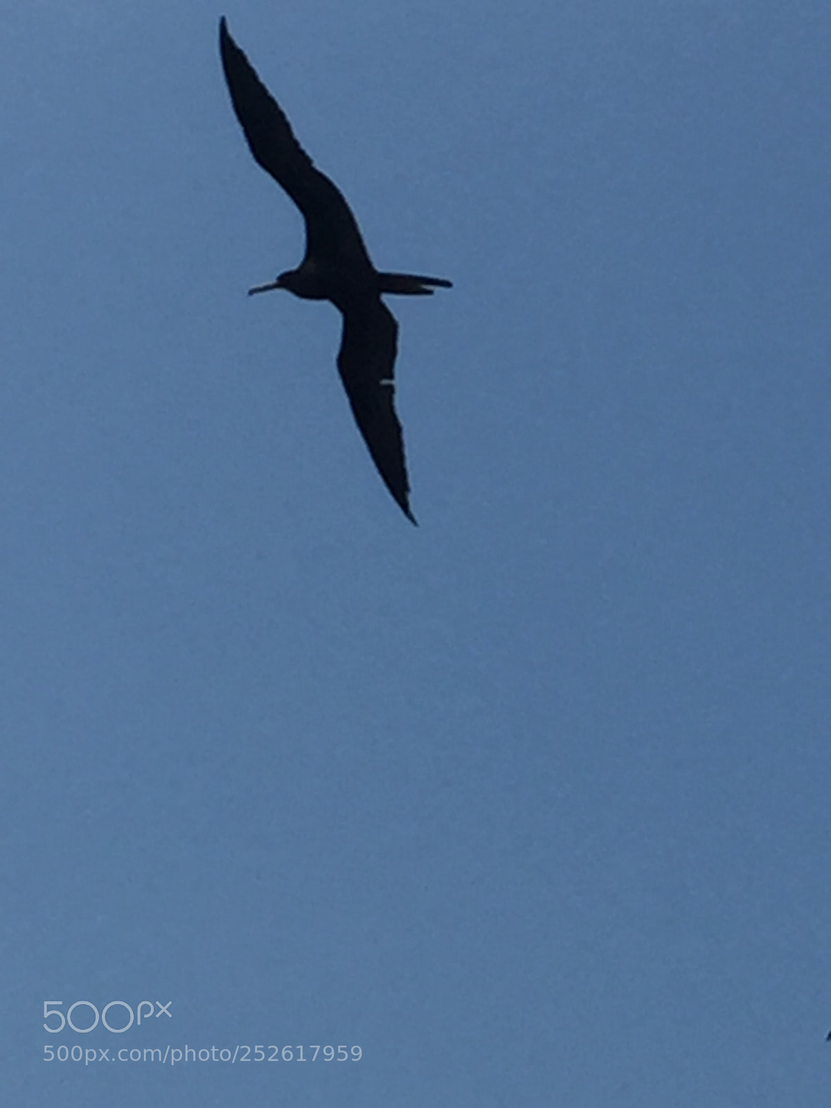 Apple iPhone 6 sample photo. San dionisio del mar photography