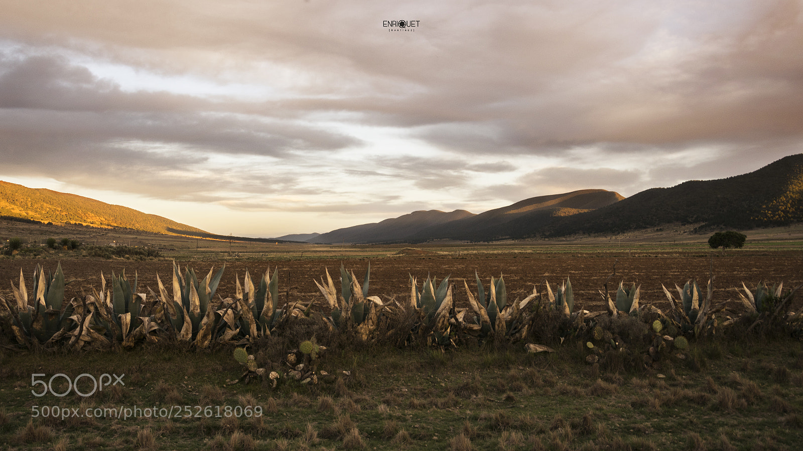 Nikon D5300 sample photo. Atardecer photography