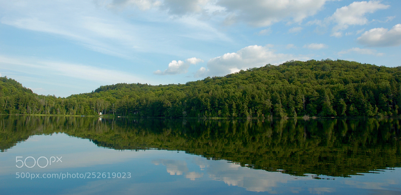 Nikon D50 sample photo. Mirror image photography