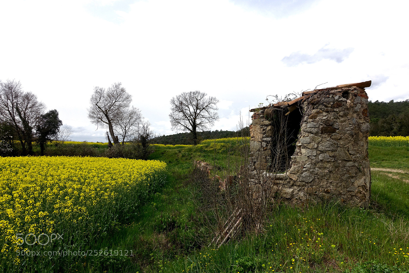 Sony Cyber-shot DSC-RX100 III sample photo. The old well. photography