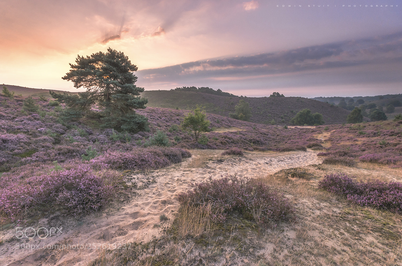Pentax K-5 IIs sample photo. Heather path photography