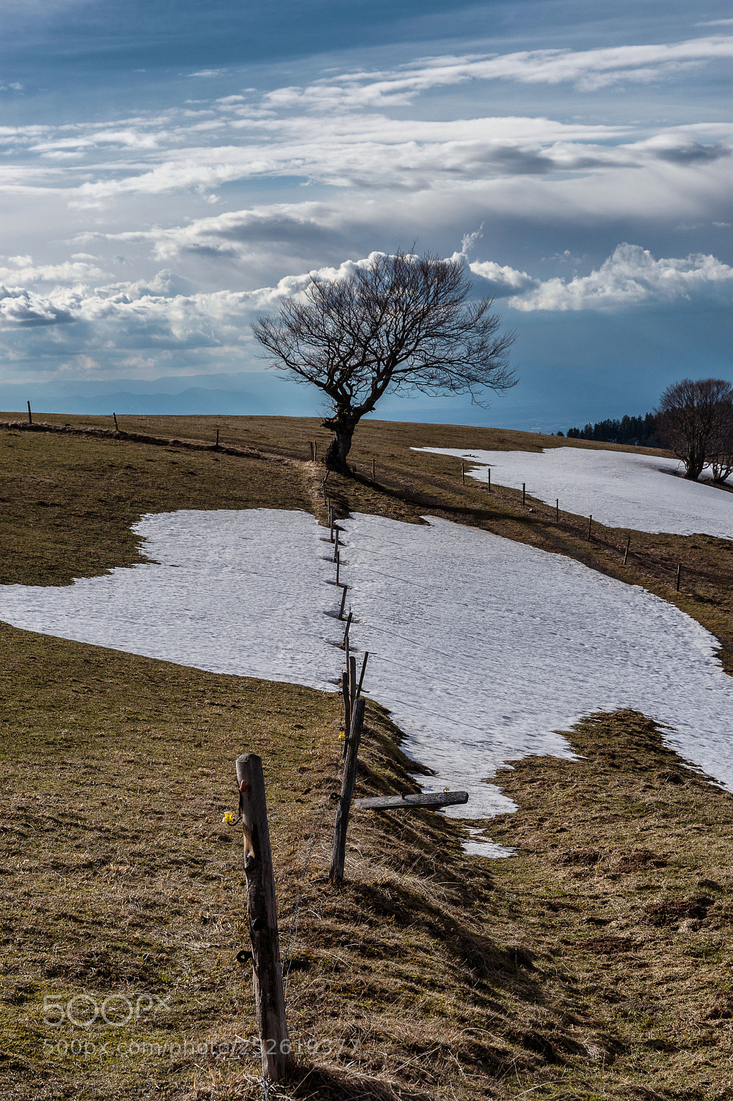 Nikon D7200 sample photo. Schauinsland photography