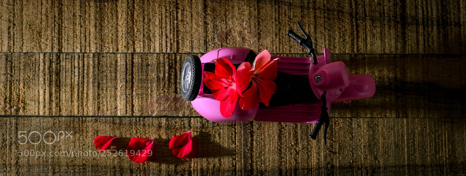 Canon EOS 70D sample photo. Untitled photography