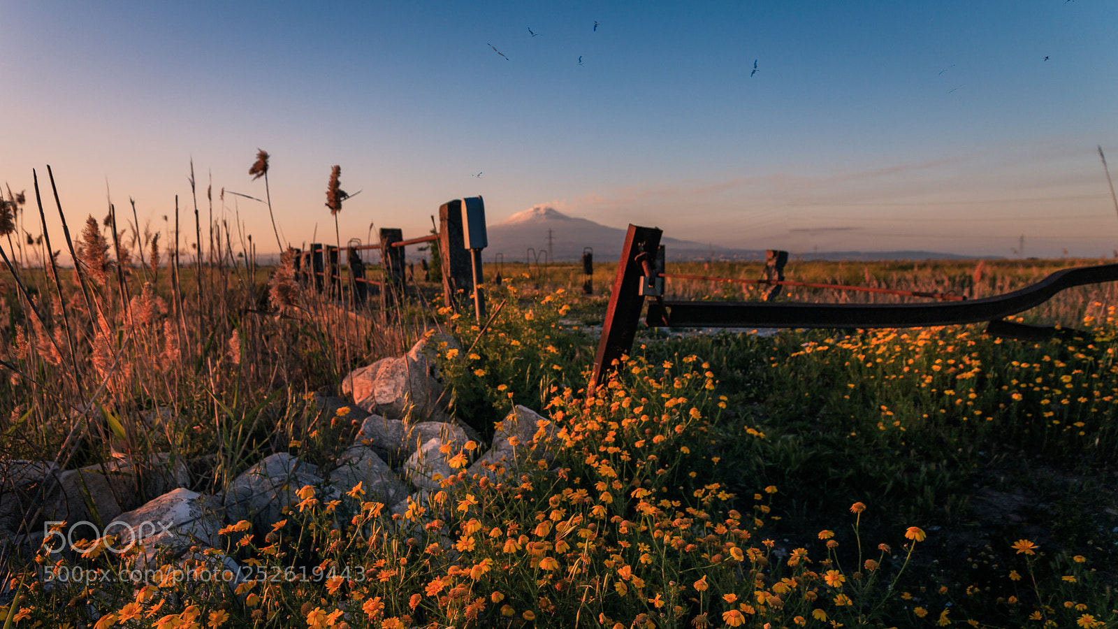 Canon EOS 6D Mark II sample photo. Everything is changing photography