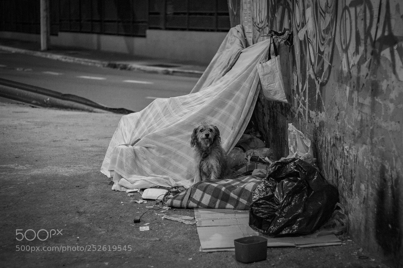 Canon EOS 70D sample photo. The bodyguard photography