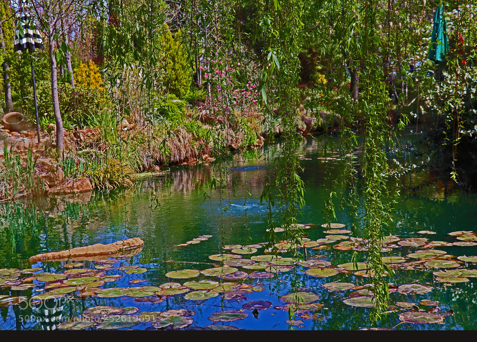 Canon EOS M50 (EOS Kiss M) sample photo. Pond won through the photography