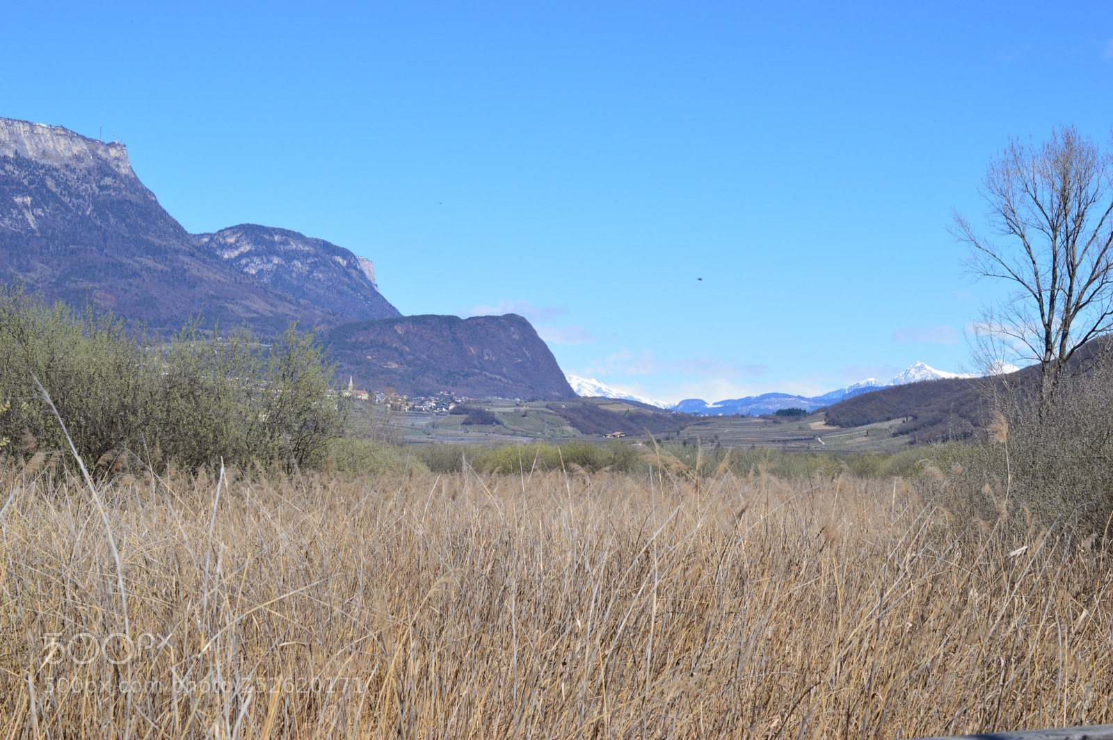 Nikon D3200 sample photo. Caldaro photography