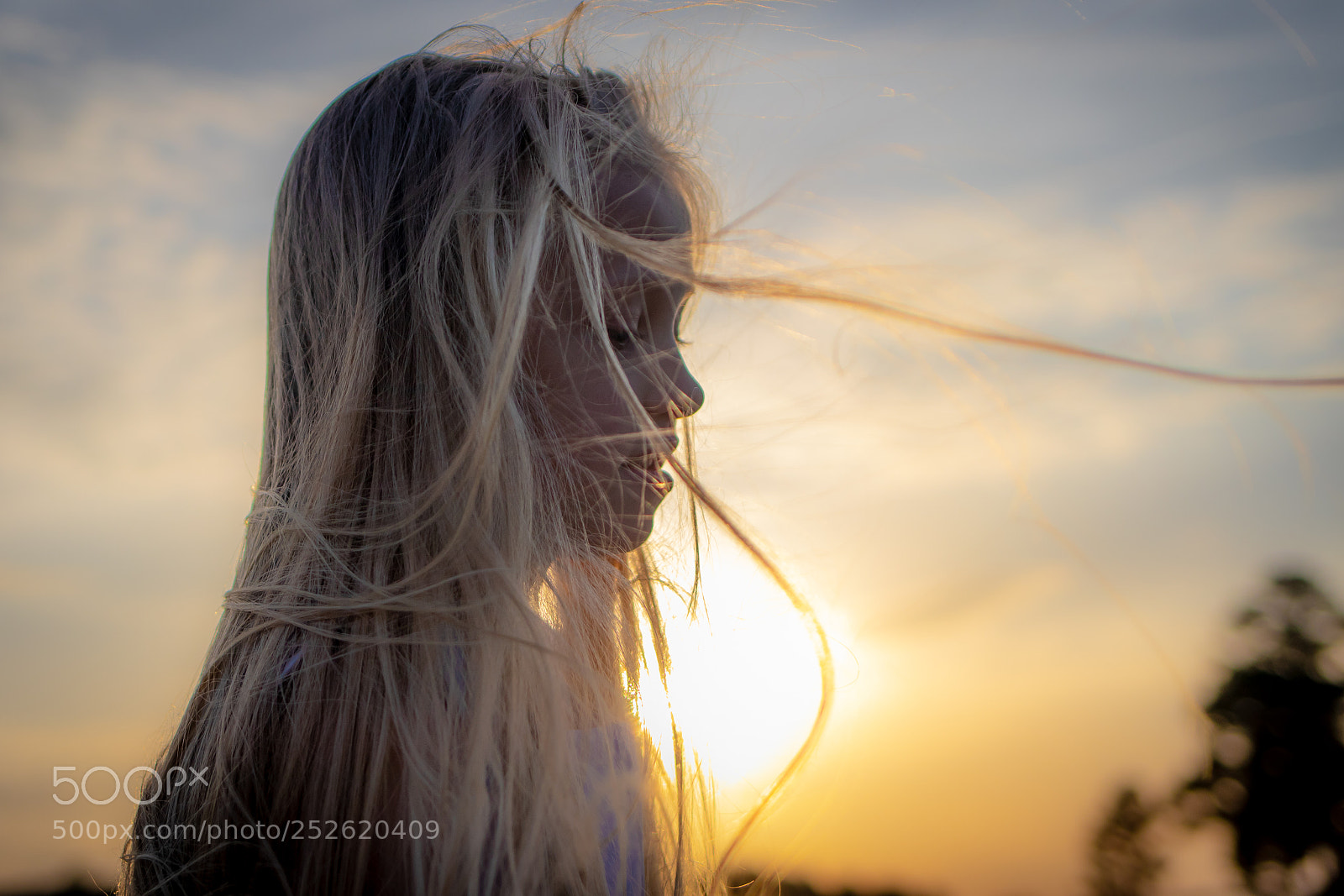Canon EOS 80D sample photo. Breezy sunset photography