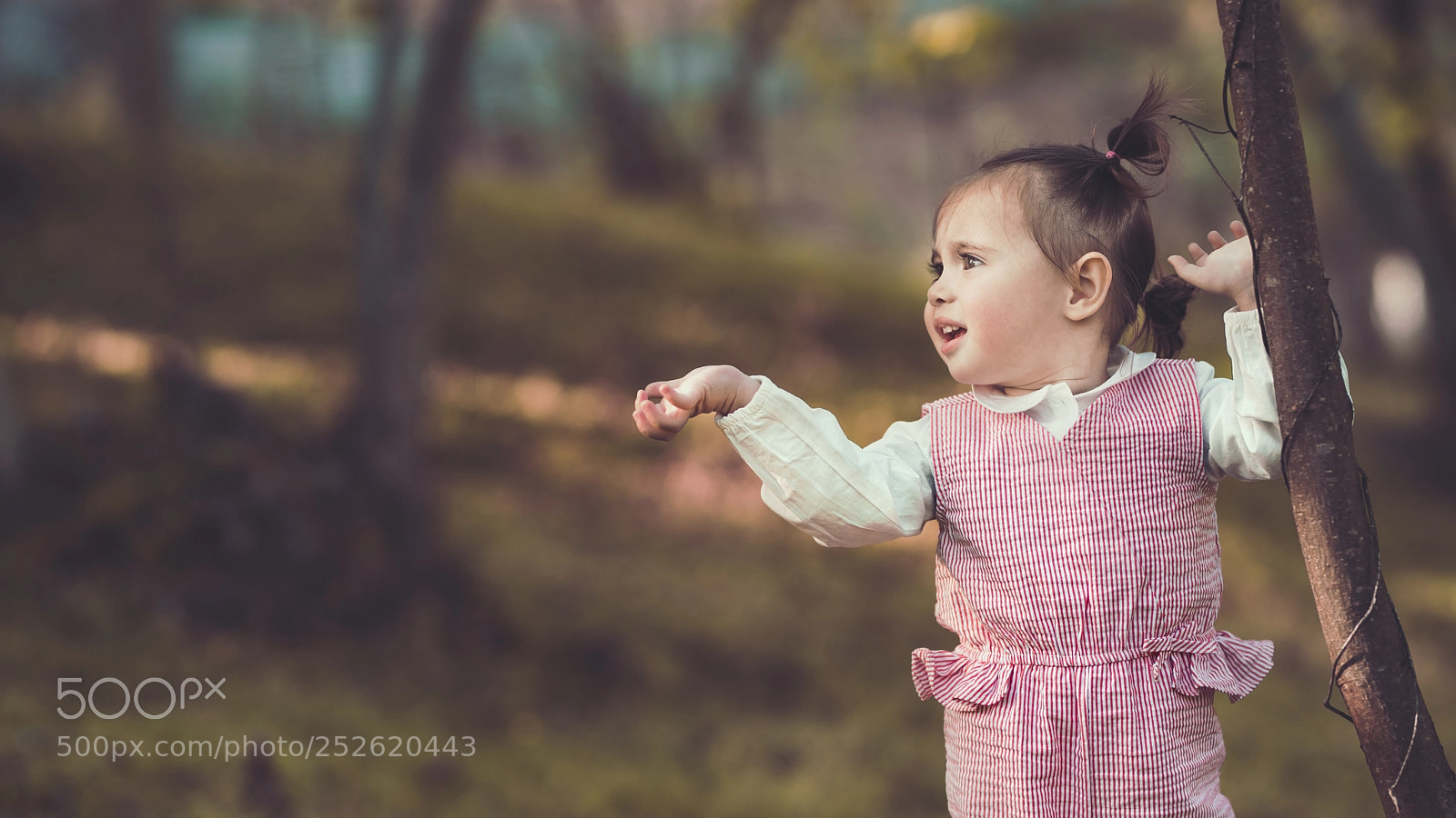 Nikon D810 sample photo. Nisa photography
