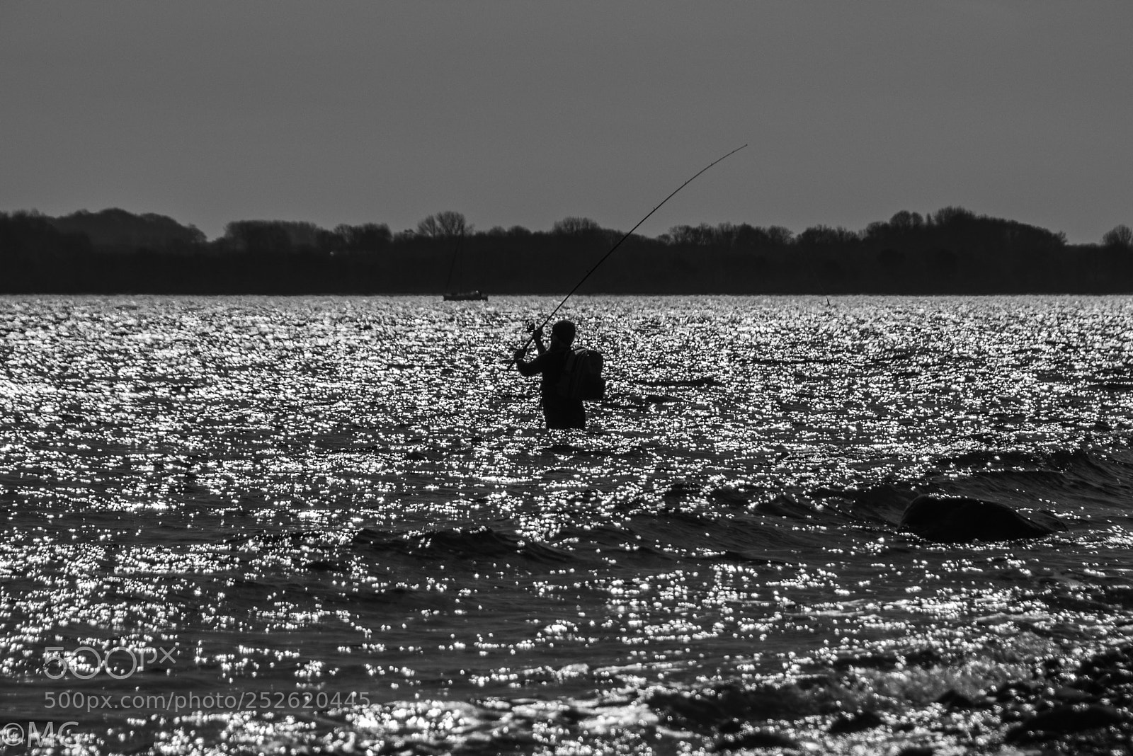 Nikon D500 sample photo. The fishman photography