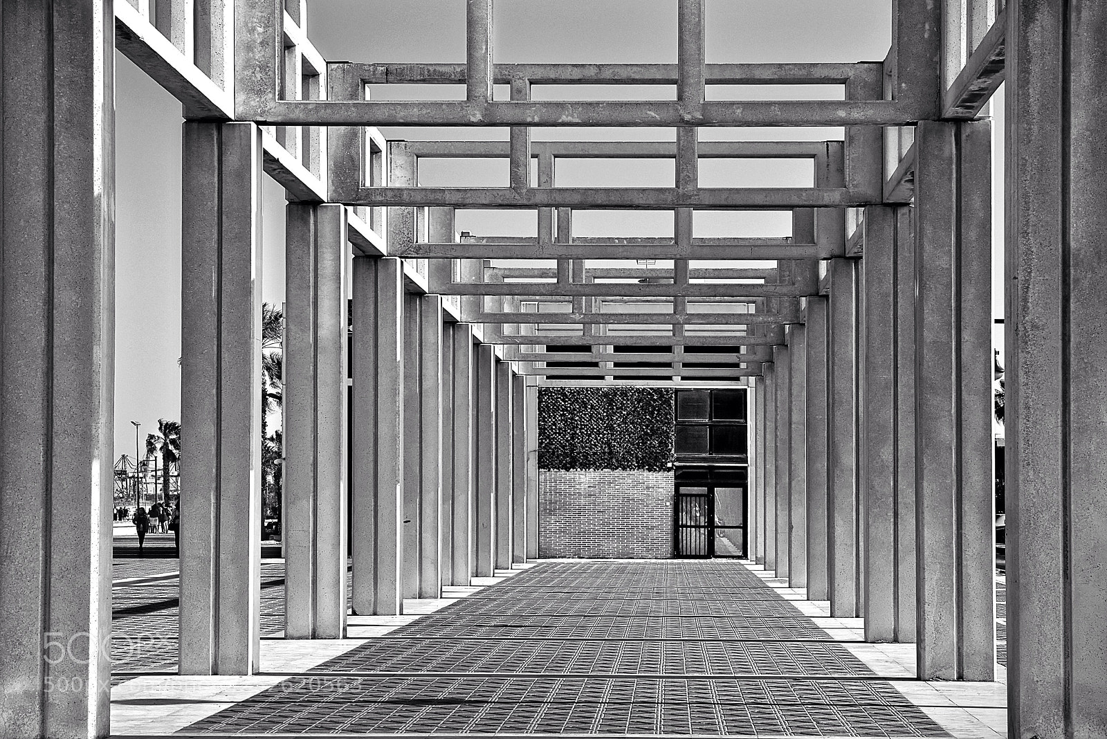 Nikon D800E sample photo. Perspective photography