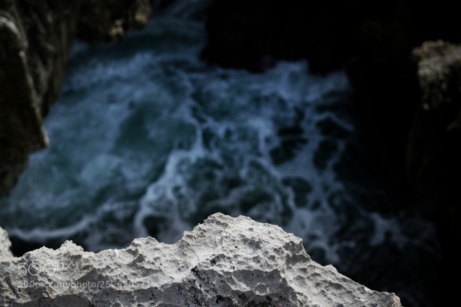 Nikon D3300 sample photo. Contrast photography