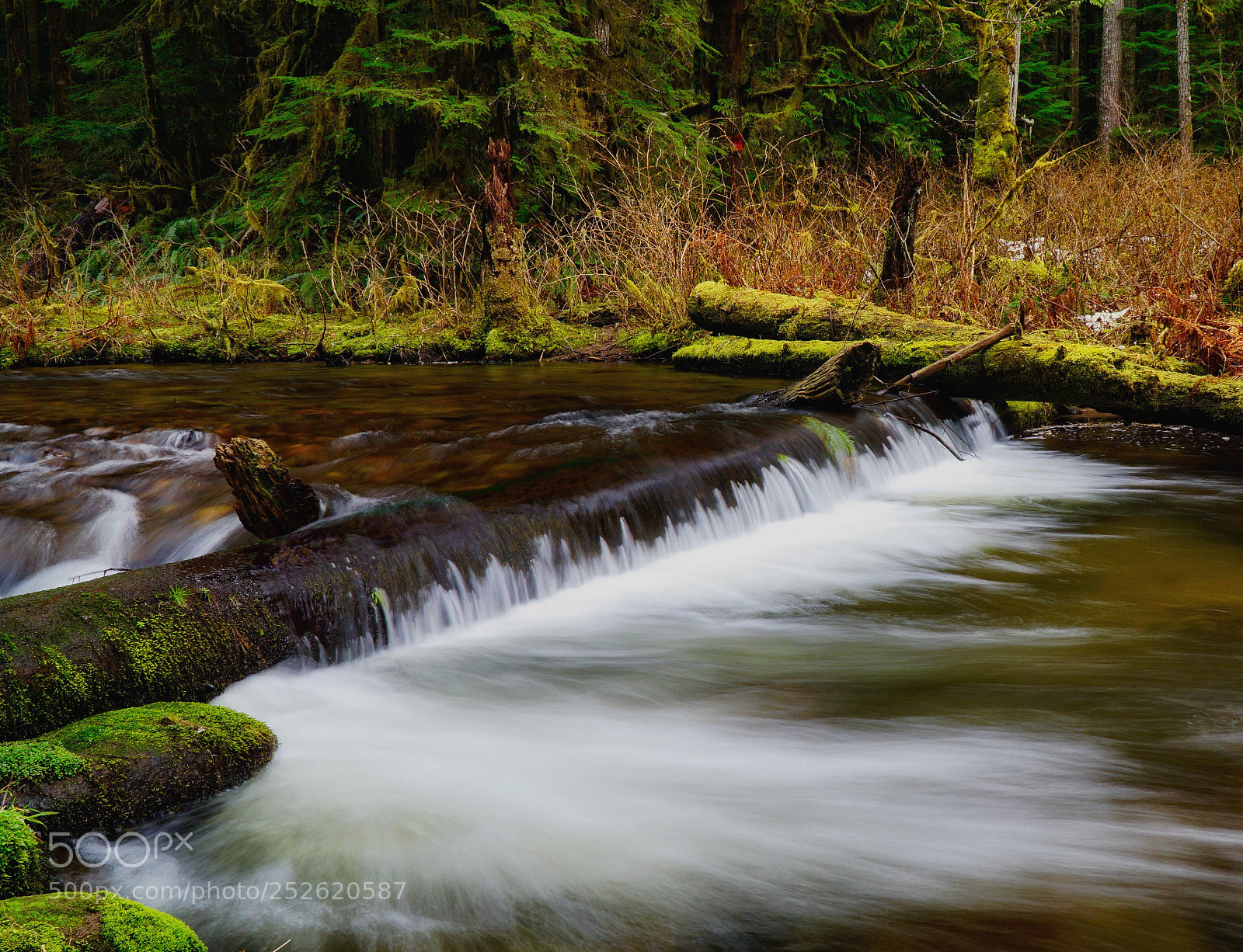 Sony a6000 sample photo. Oregon creek photography