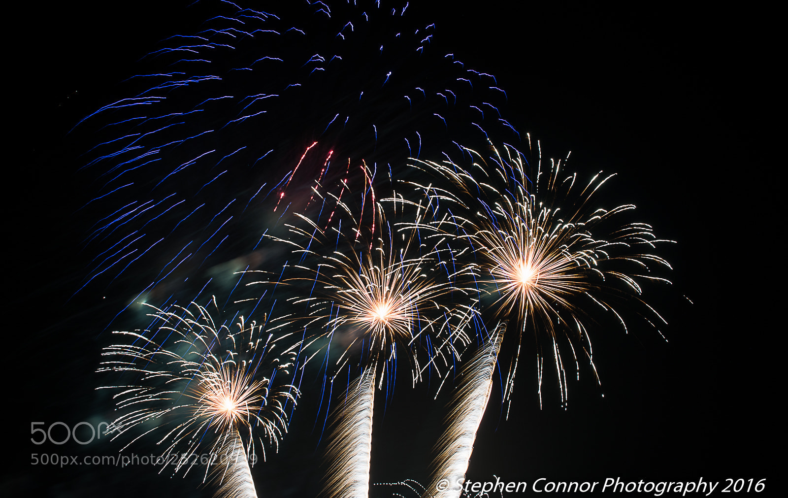 Nikon D600 sample photo. Firework display 2016 photography