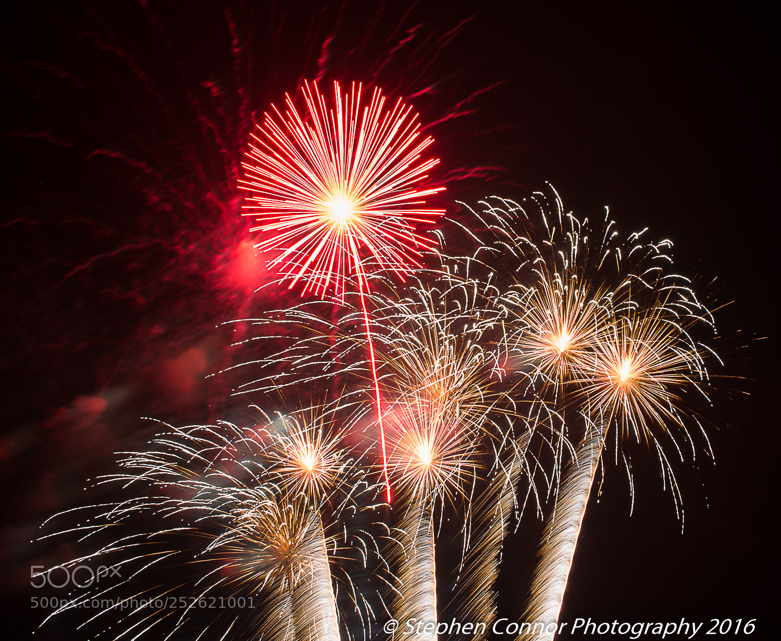 Nikon D600 sample photo. Firework display 2016 photography