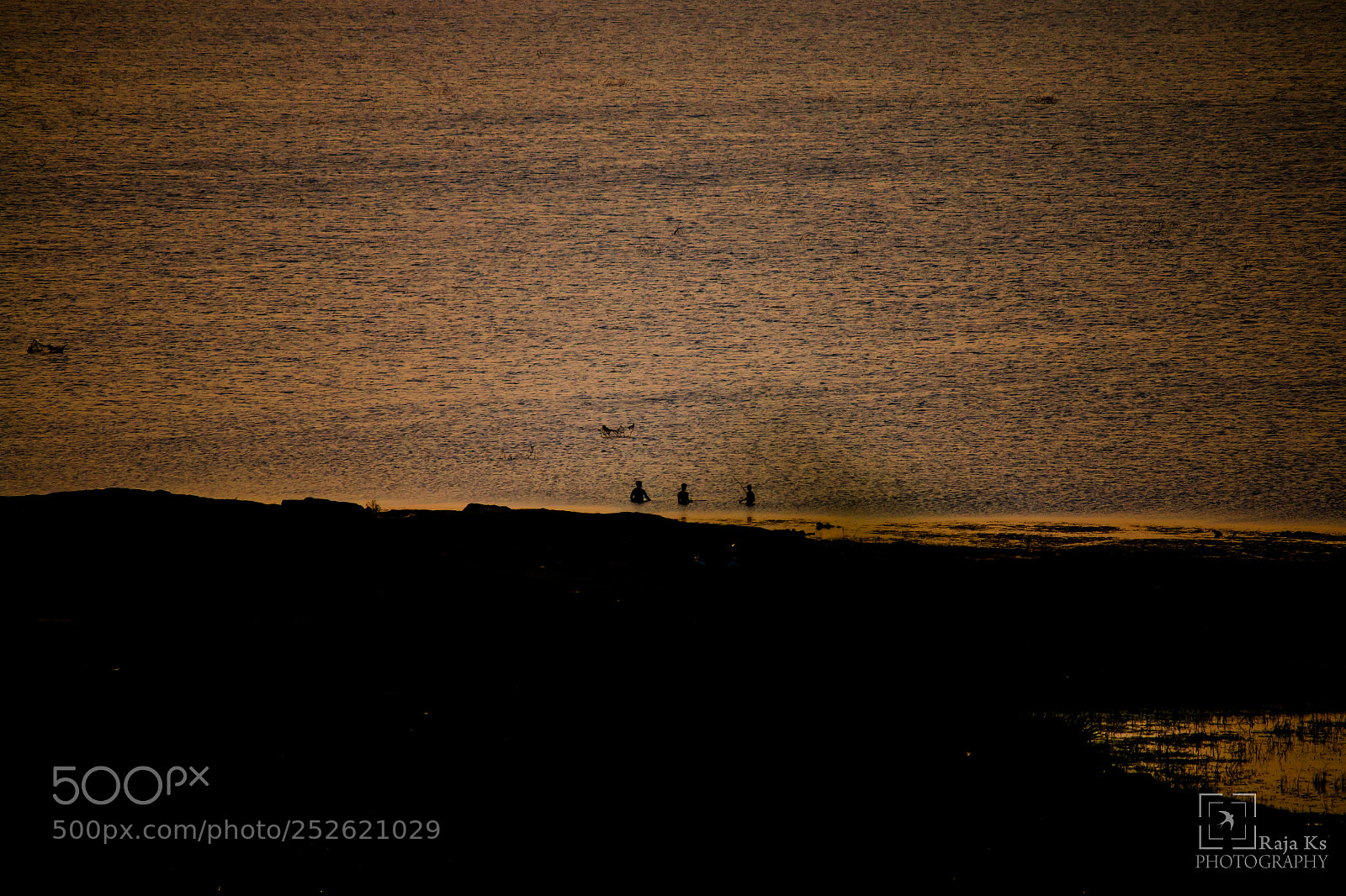 Canon EOS 70D sample photo. The fisherman's photography