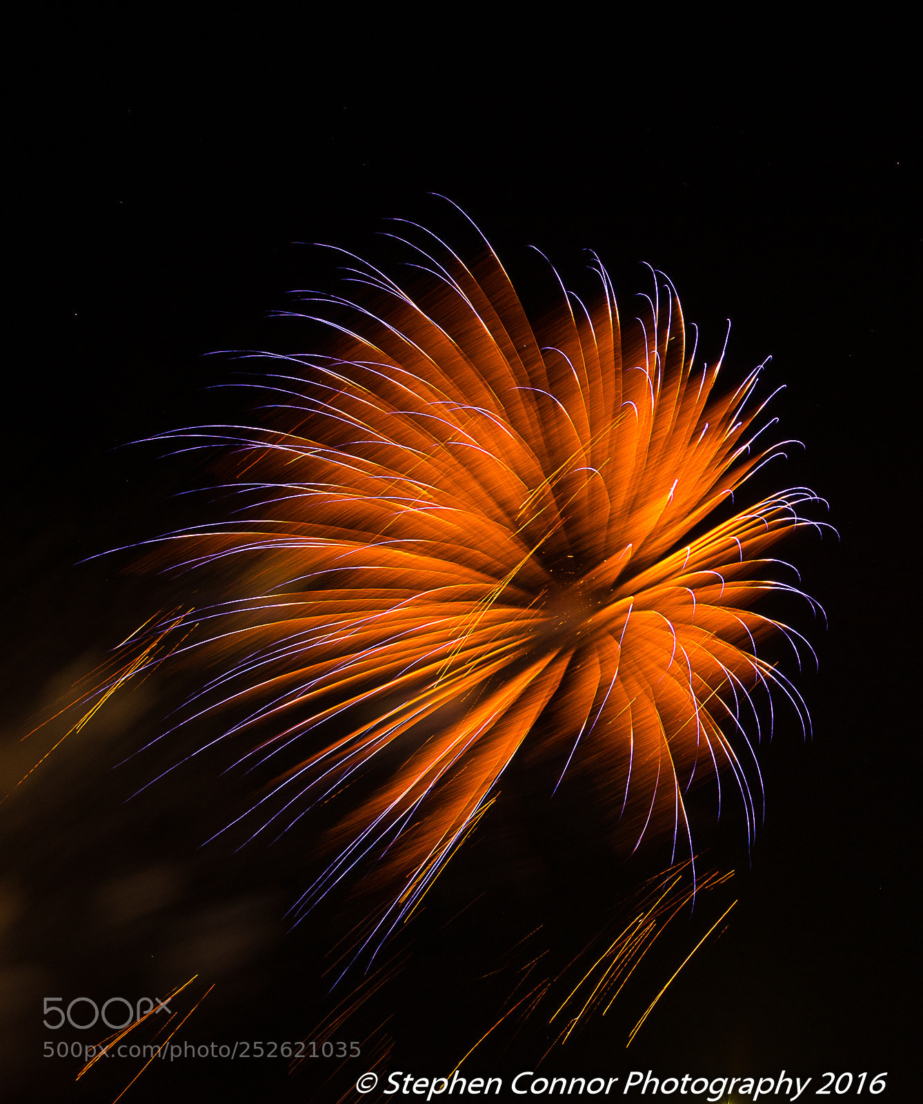 Nikon D600 sample photo. Firework display 2016 photography