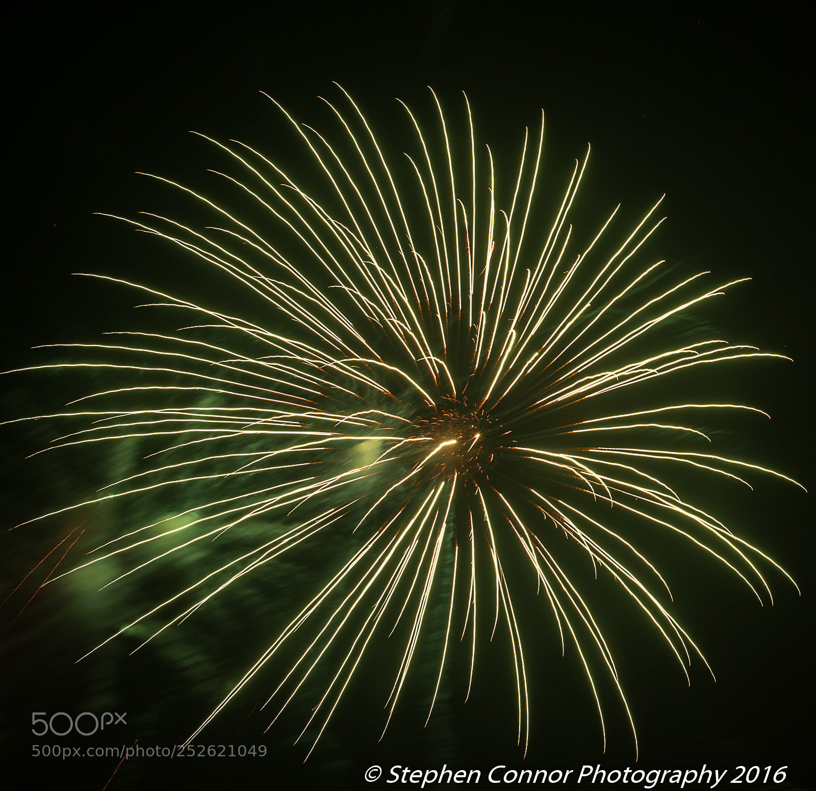 Nikon D600 sample photo. Firework display 2016 photography