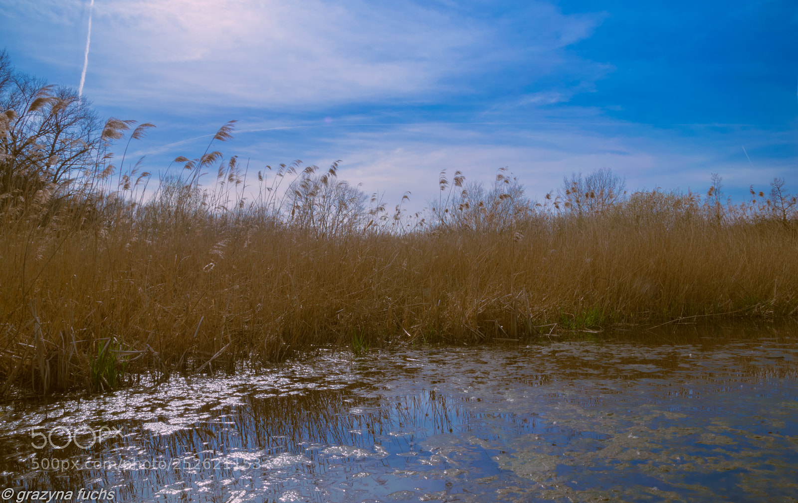 Nikon D3300 sample photo. Learning how to use photography