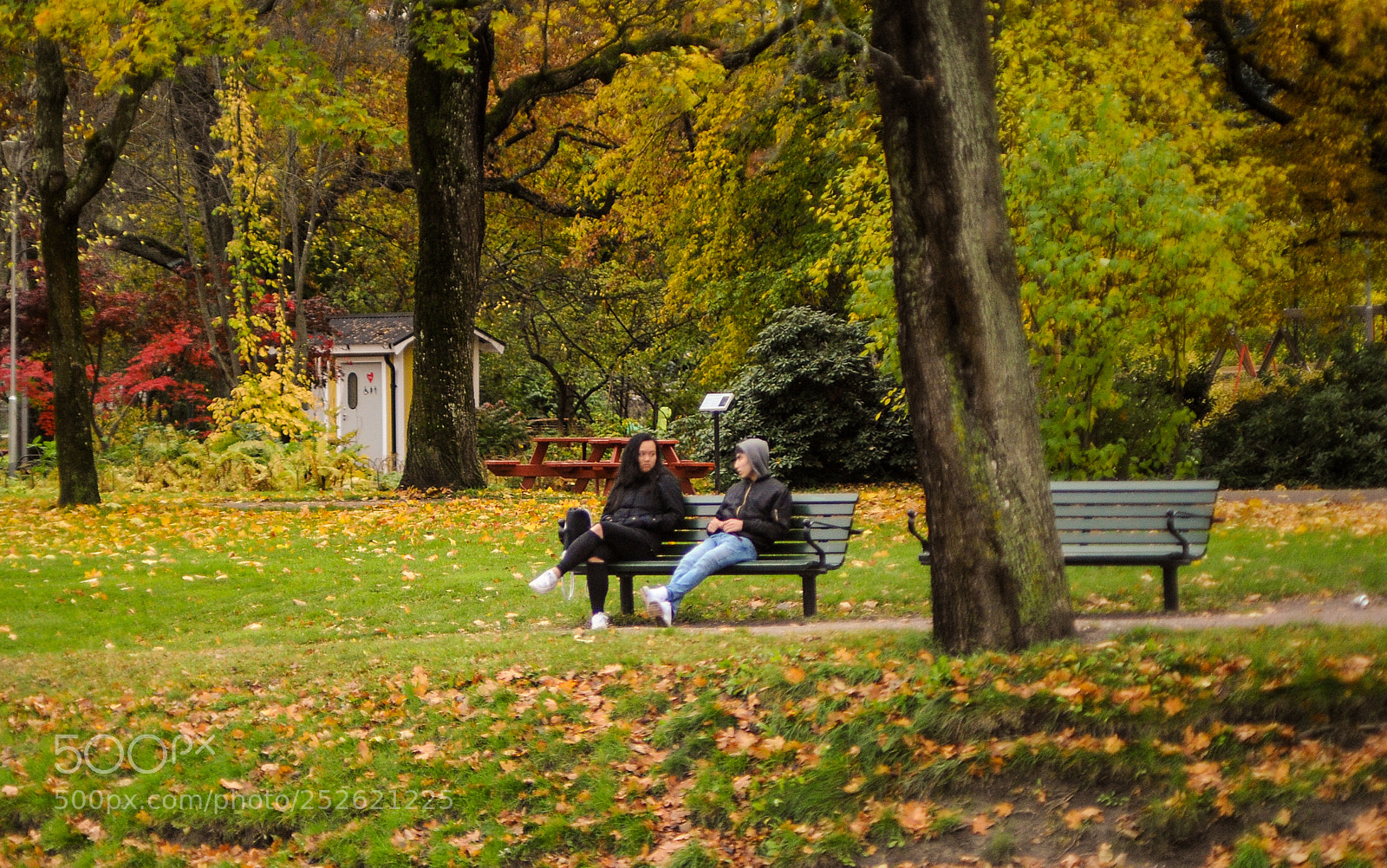 Nikon D700 sample photo. At a park bench photography