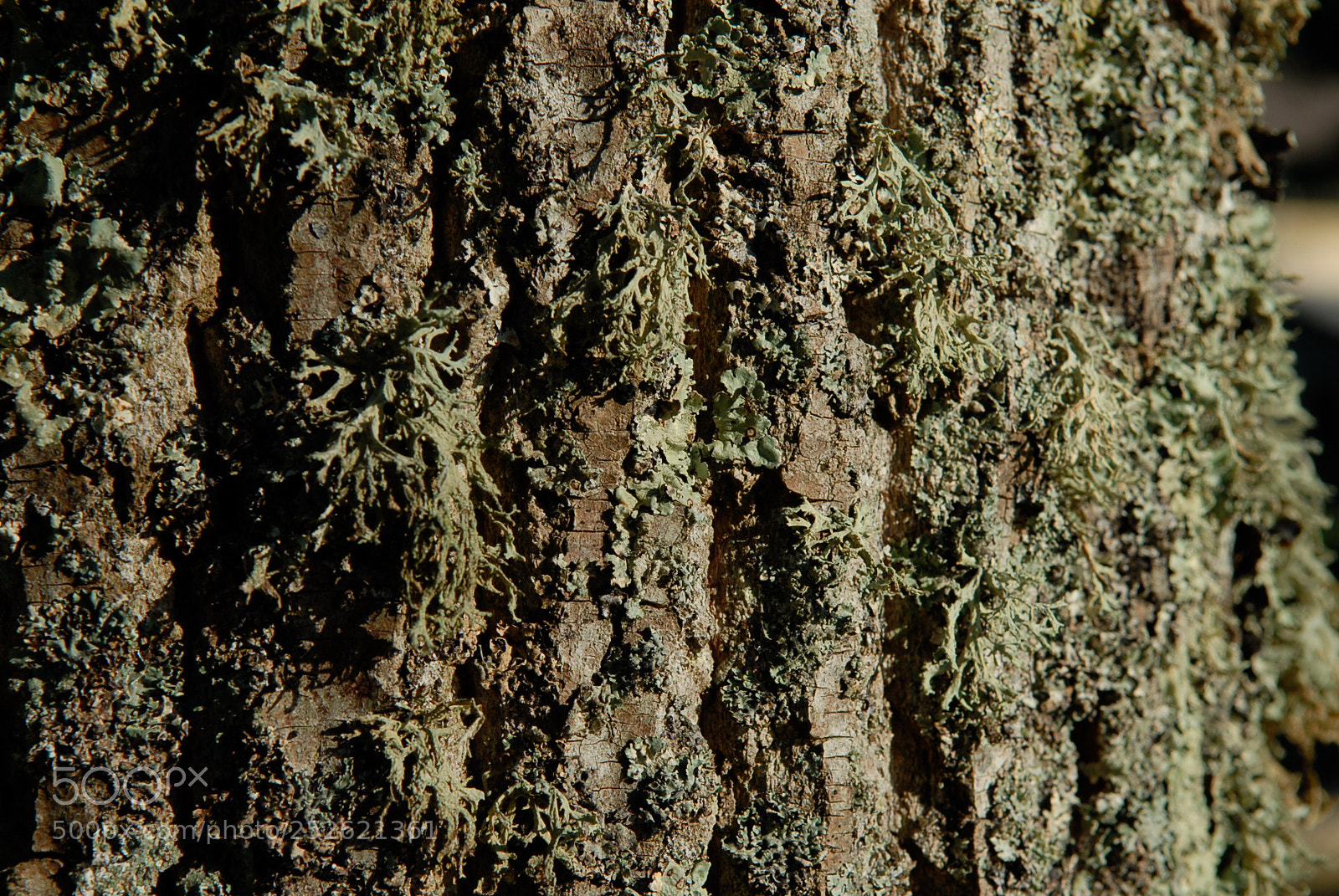 Nikon D200 sample photo. Untitled photography