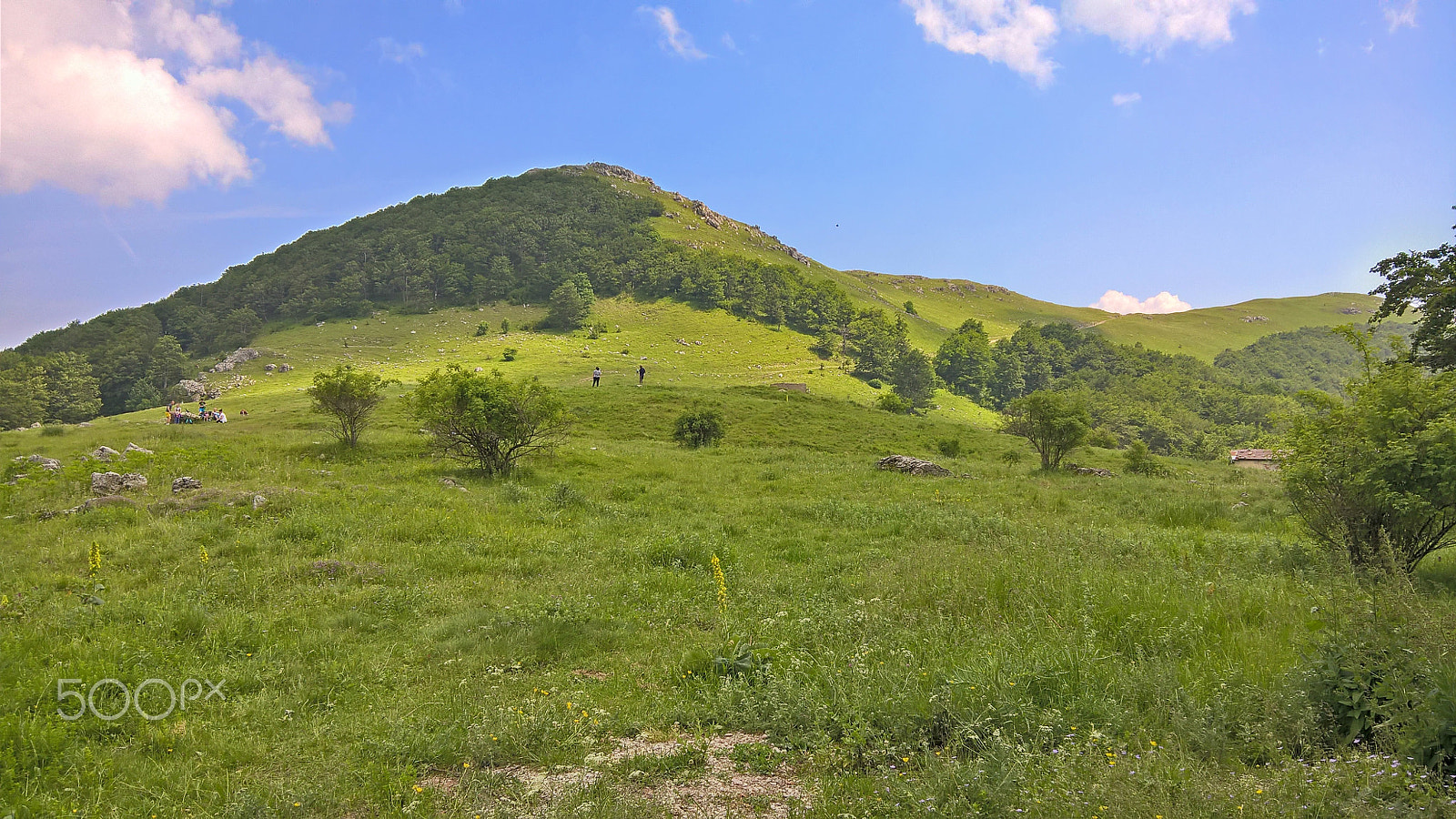 Microsoft Lumia 640 XL sample photo. Green hill photography