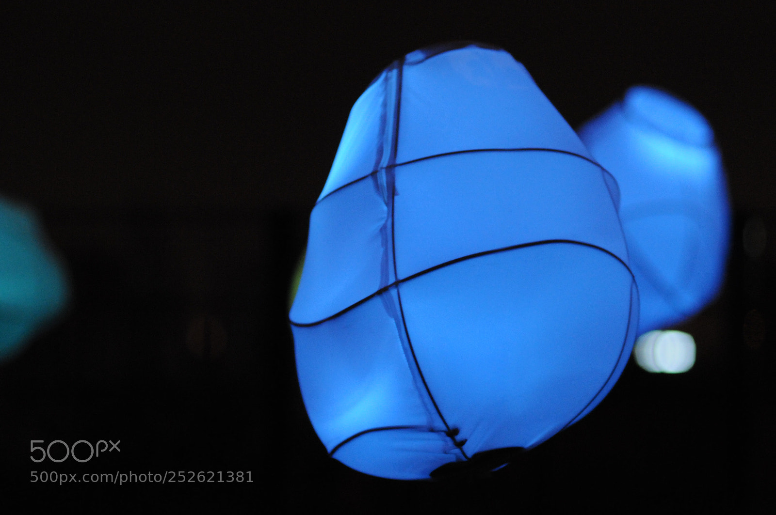 Nikon D300 sample photo. Untitled photography