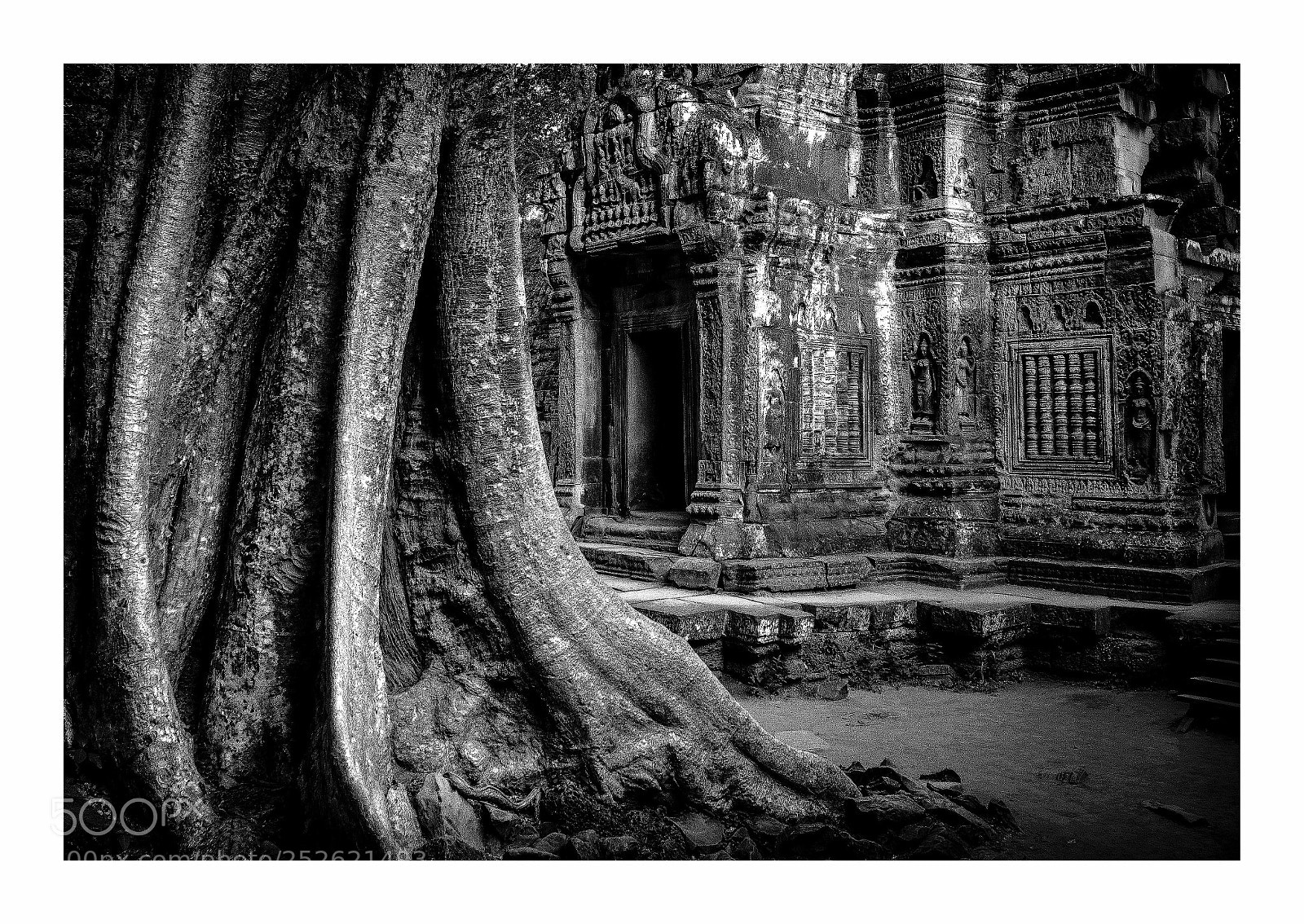 Nikon D800 sample photo. Ta prohm ii photography
