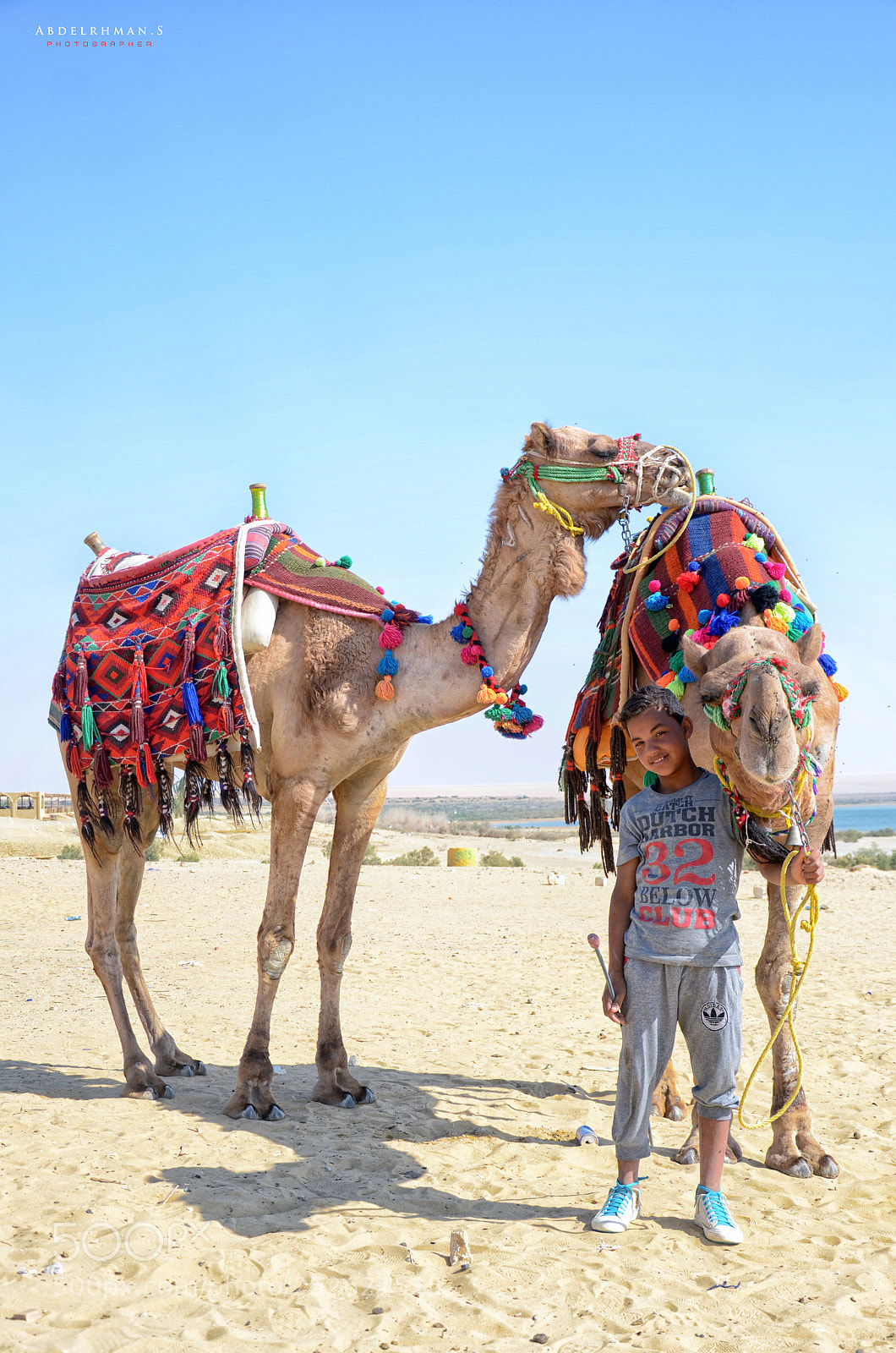 Nikon D7000 sample photo. El fayoum son photography