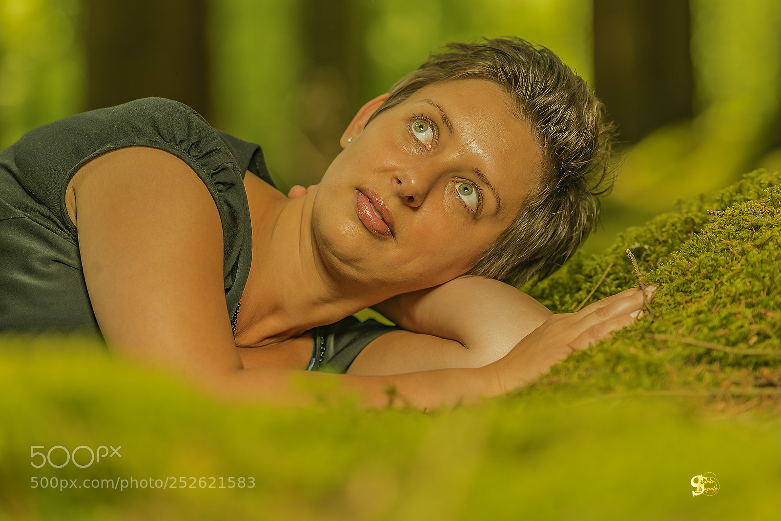 Nikon D800 sample photo. Wald inspiration photography