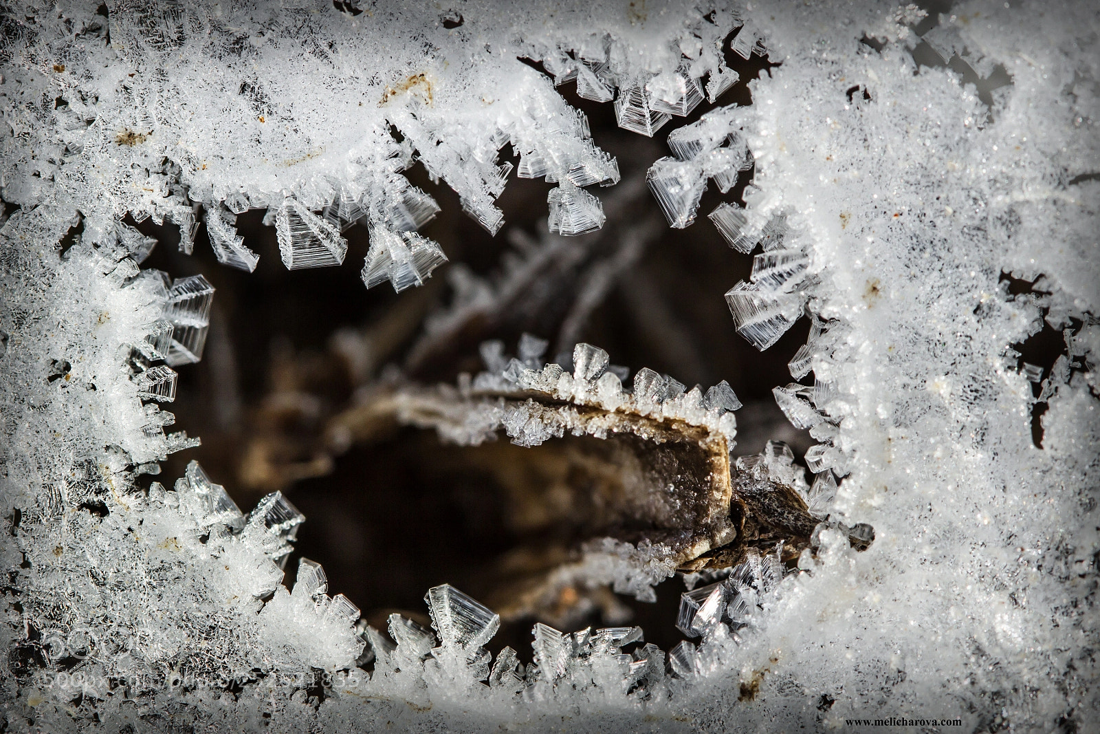 Canon EOS 60D sample photo. Ice crystals 2 photography