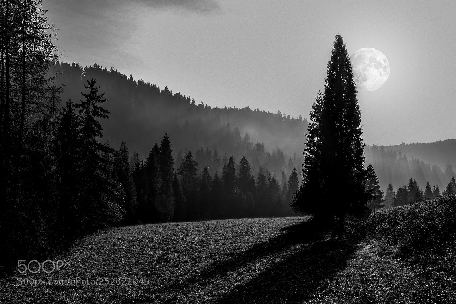 Nikon D7200 sample photo. Osturňa slovakia photography