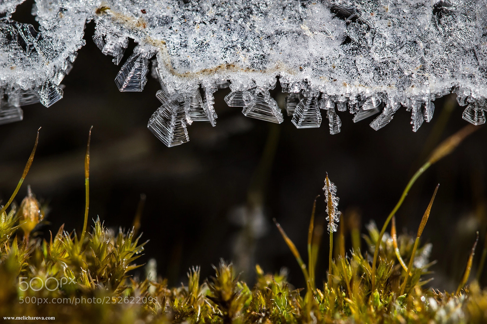 Canon EOS 60D sample photo. Ice crystals 3 photography