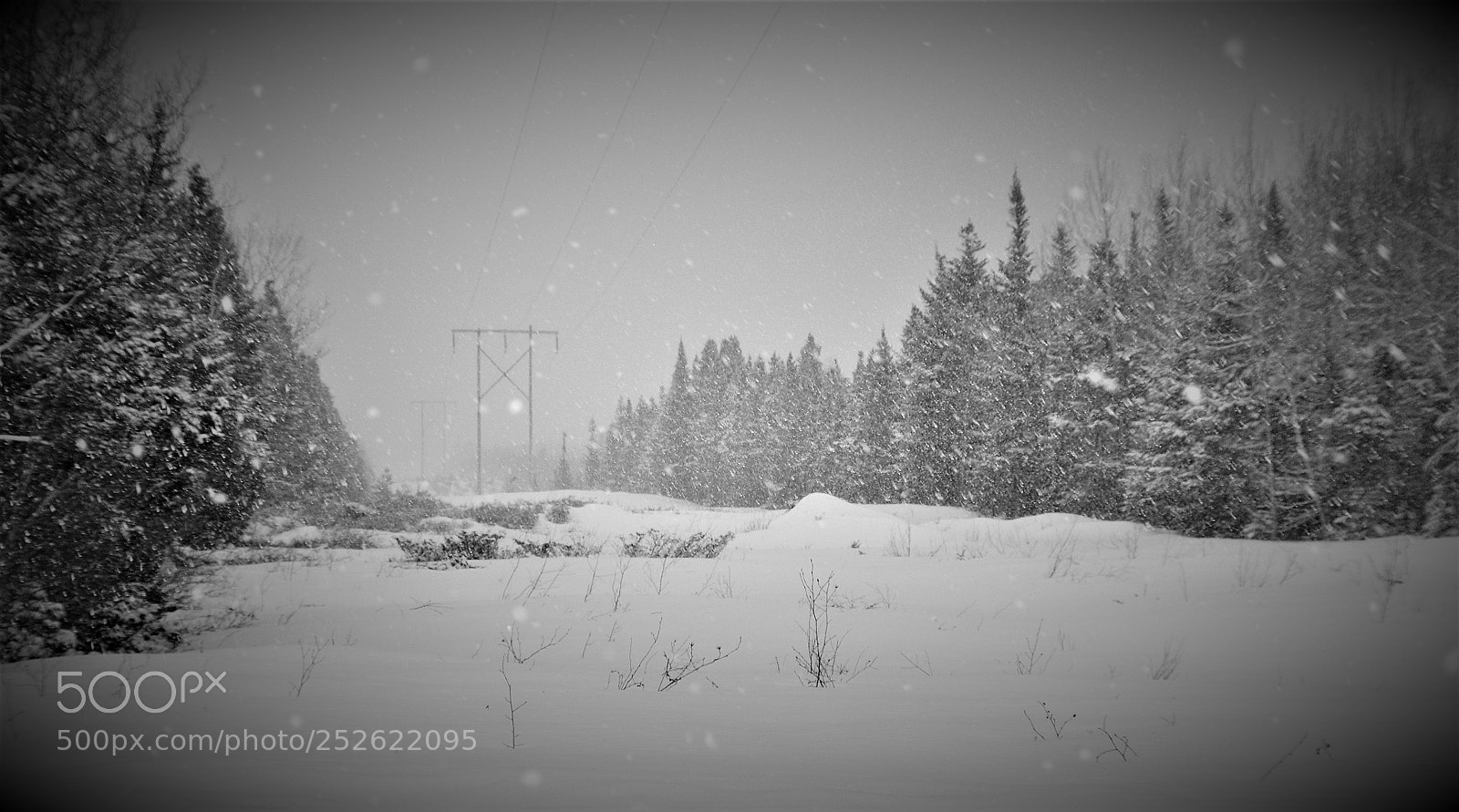Nikon D3100 sample photo. Winter storm in newfoundland photography
