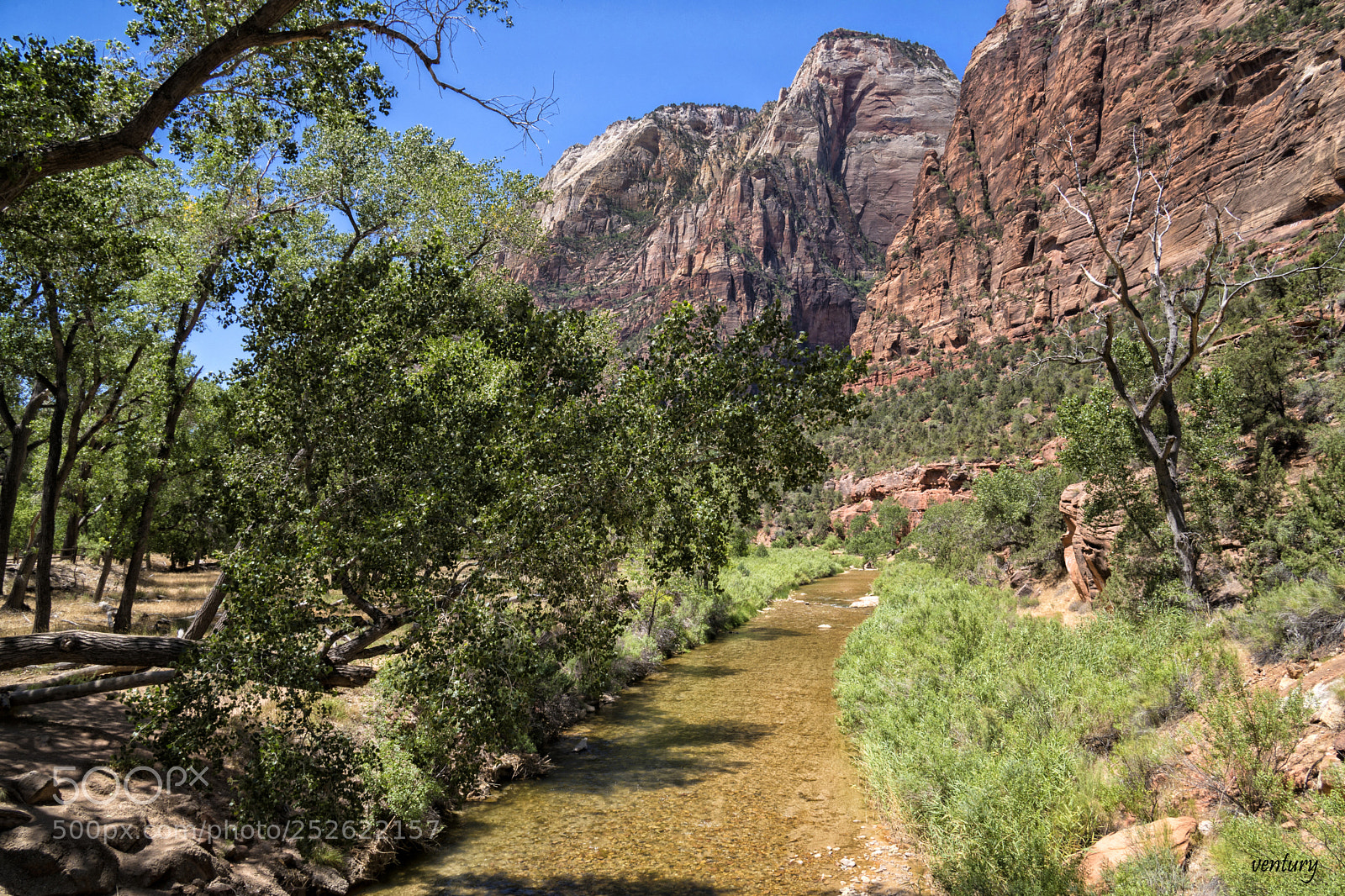 Sony a6500 sample photo. Zion landscap's photography