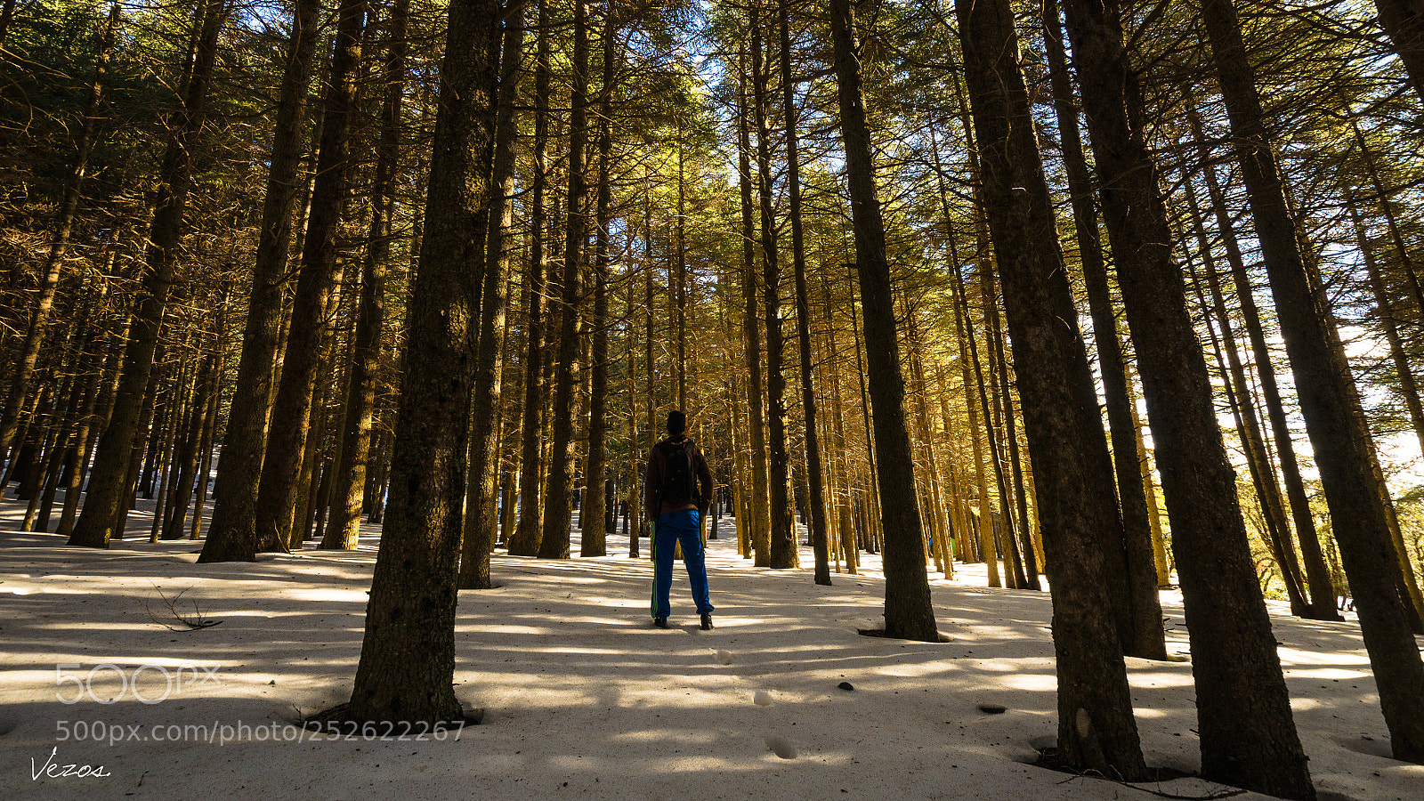 Nikon D7000 sample photo. Between dark and sunlight ! photography