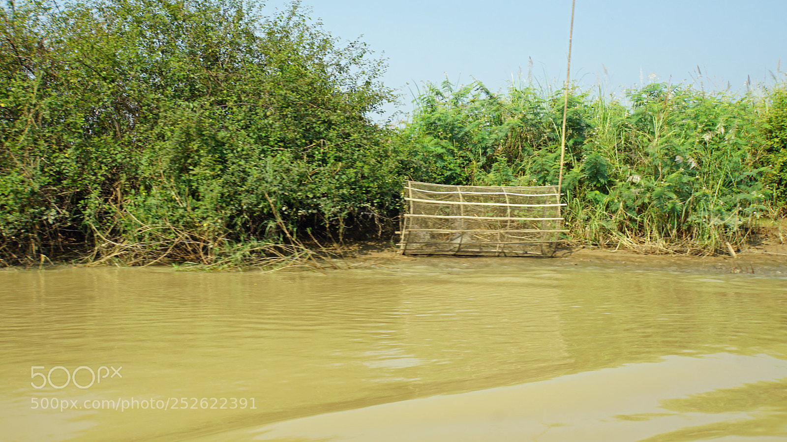 Sony a6000 sample photo. Wild tonle sap photography