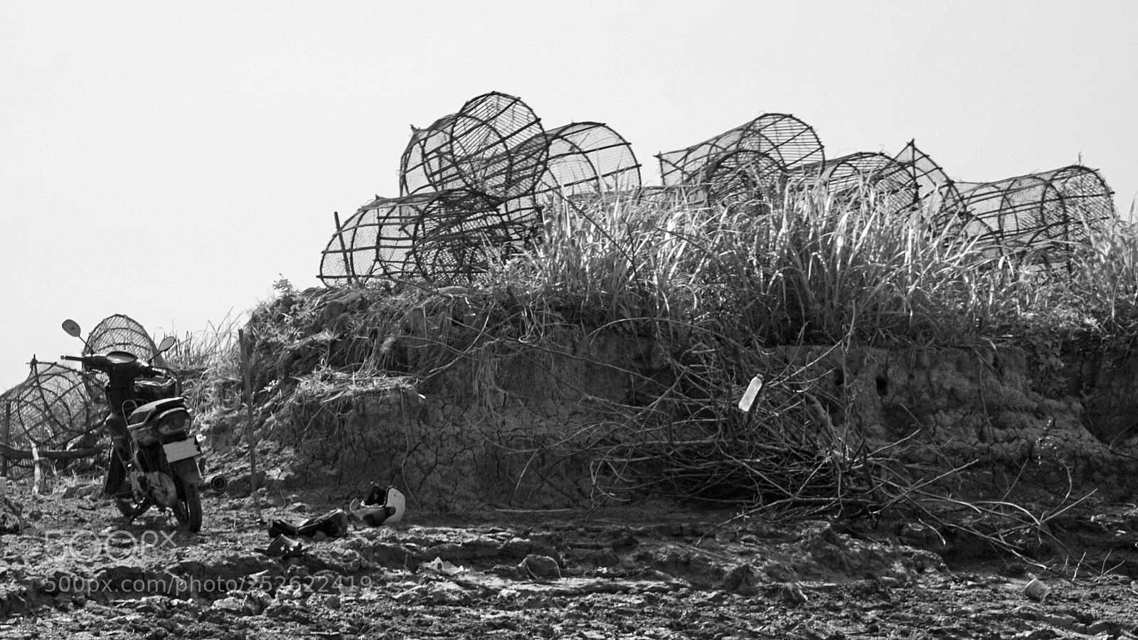 Sony a6000 sample photo. Wild tonle sap photography