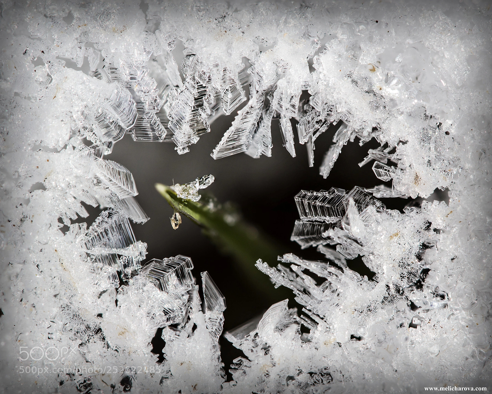 Canon EOS 60D sample photo. Ice crystals 4 photography