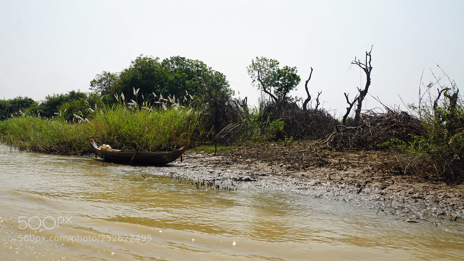 Sony a6000 sample photo. Wild tonle sap photography
