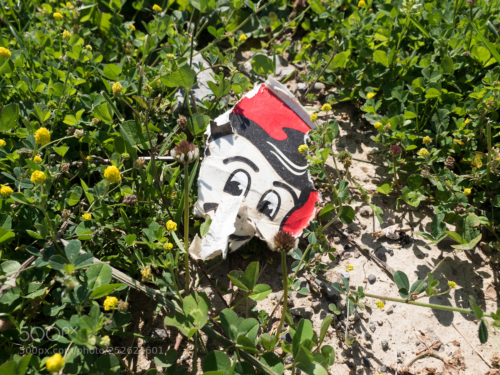 Panasonic Lumix DMC-GH4 sample photo. Big boy litter photography