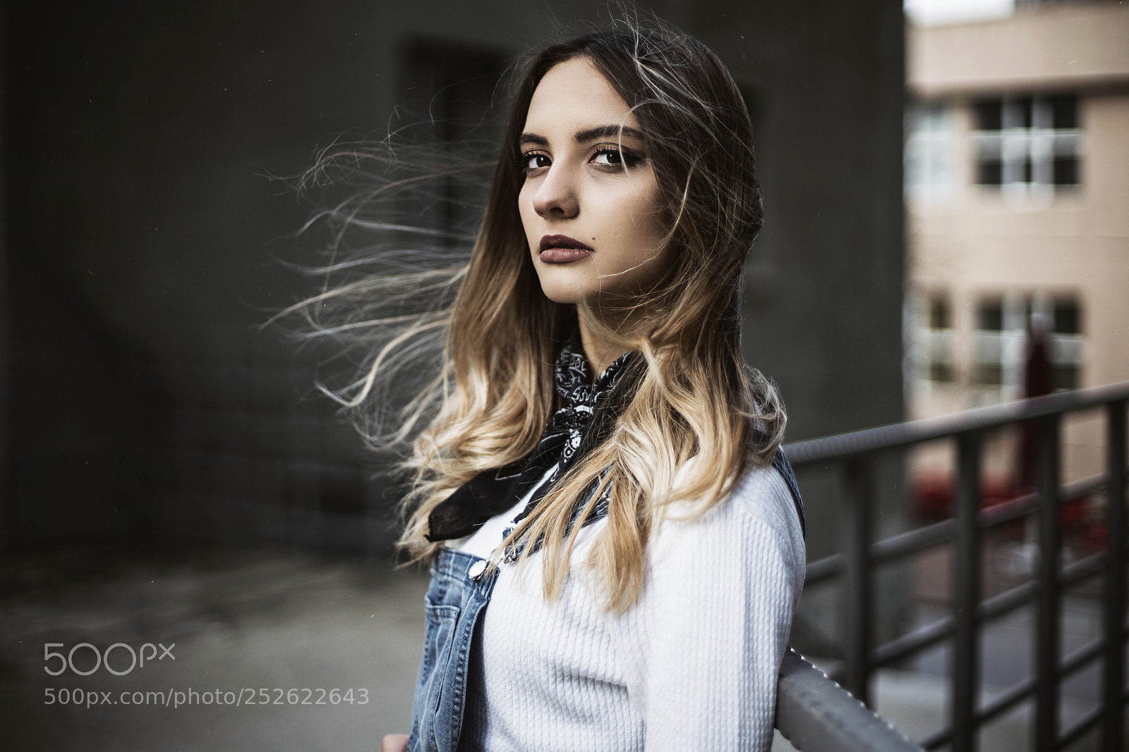 Sony a7R II sample photo. Fly photography