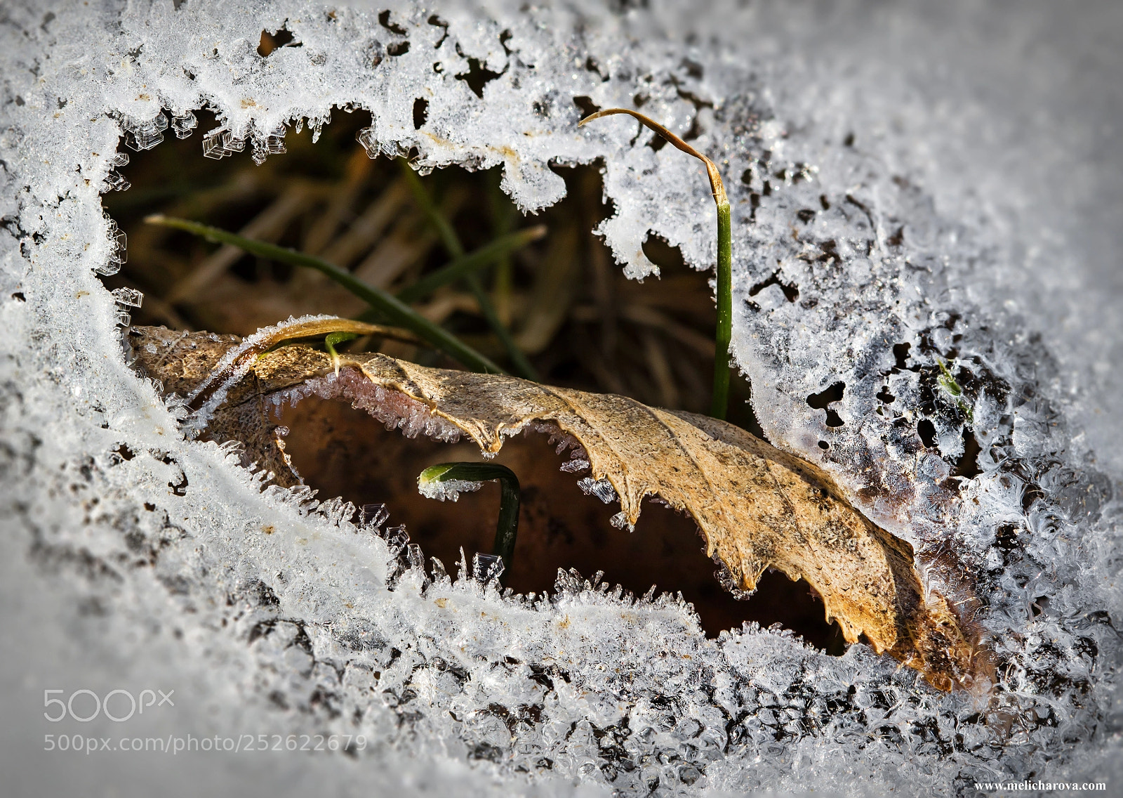 Canon EOS 60D sample photo. Ice crystals 5 photography