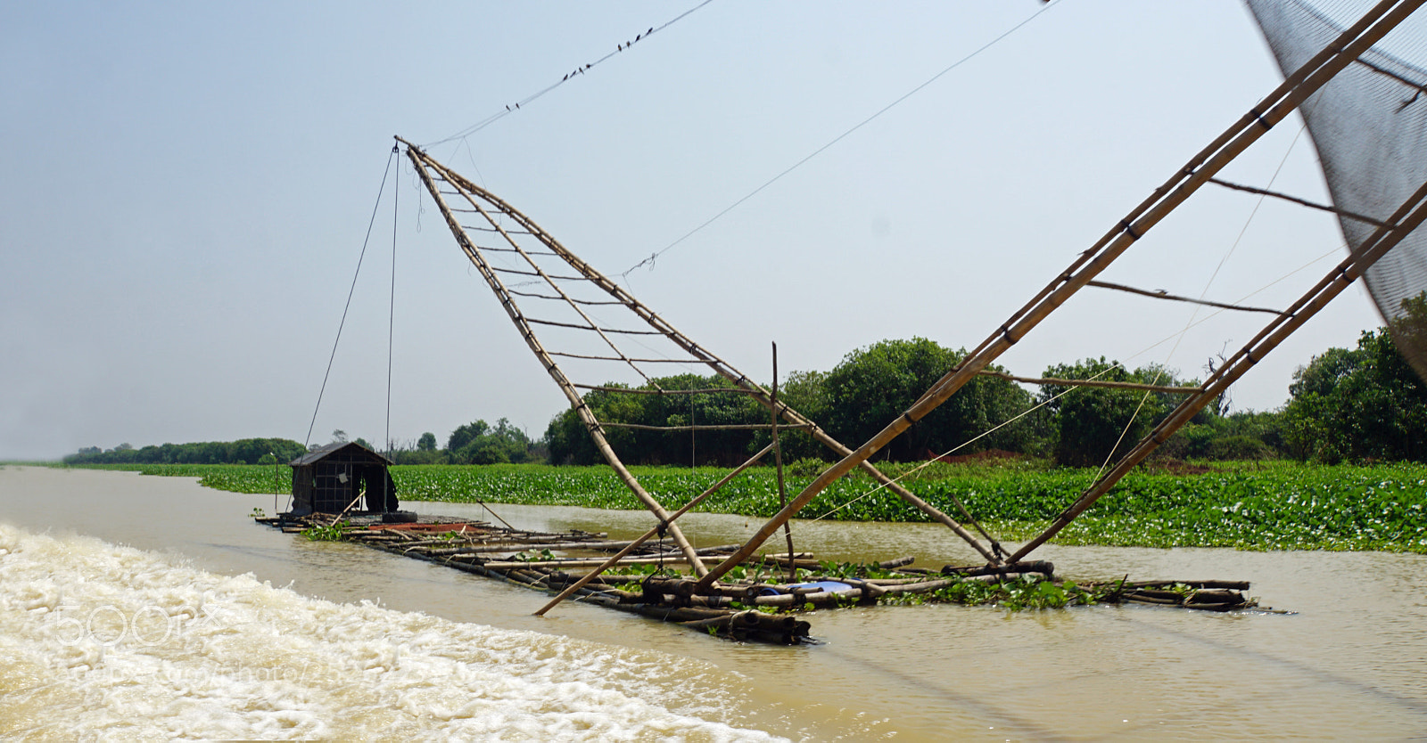 Sony a6000 sample photo. Tonle sap shrimp farms photography