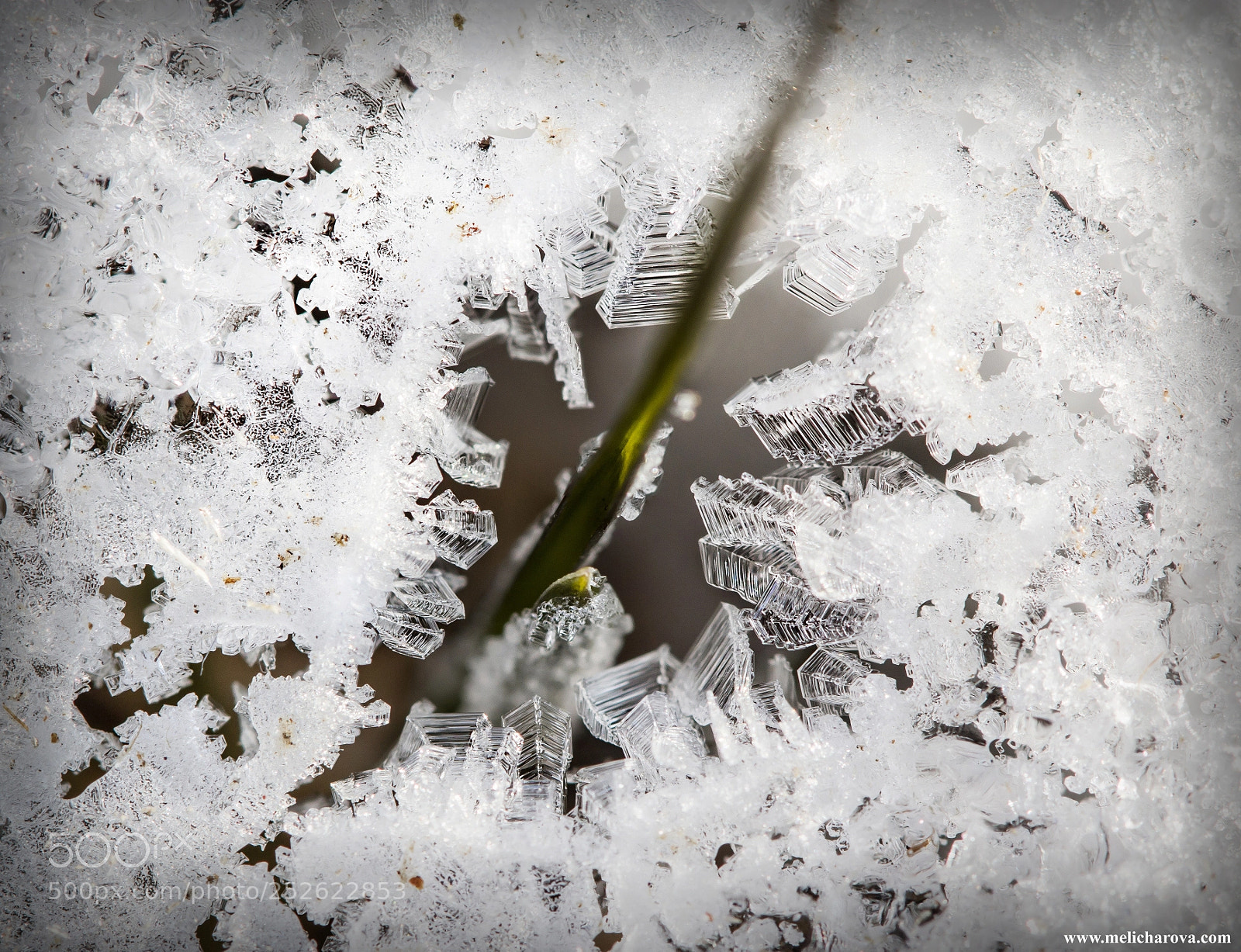 Canon EOS 60D sample photo. Ice crystals 6 photography