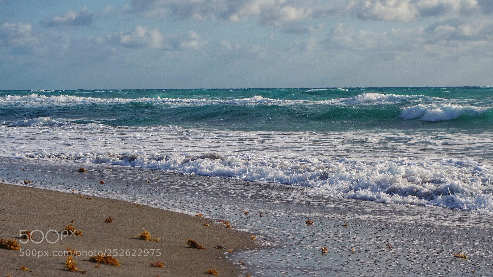 Sony Cyber-shot DSC-RX100 II sample photo. Ocean shore scattered with photography